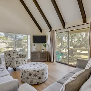  Apartment Bright Miramar - Walk To Beach!
